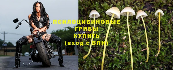 спайс Абинск