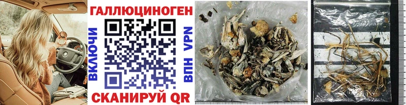 купить наркотик  Серпухов  Галлюциногенные грибы GOLDEN TEACHER 